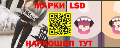стафф Можга