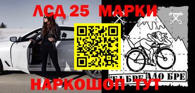 стаф Моздок