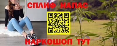 стафф Можга