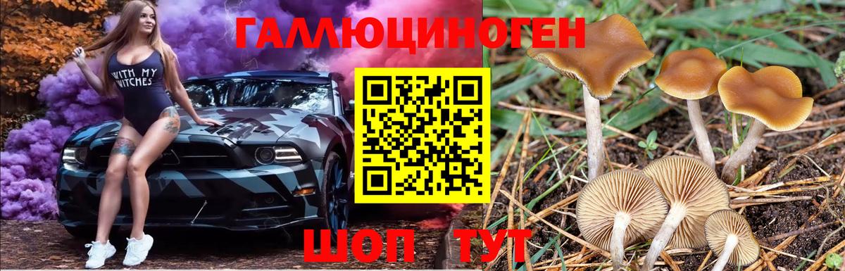 купить   Псилоцибиновые грибы мицелий  Вход с VPN  Ленинск-Кузнецкий  Галлюциногенные грибы прущие грибы 